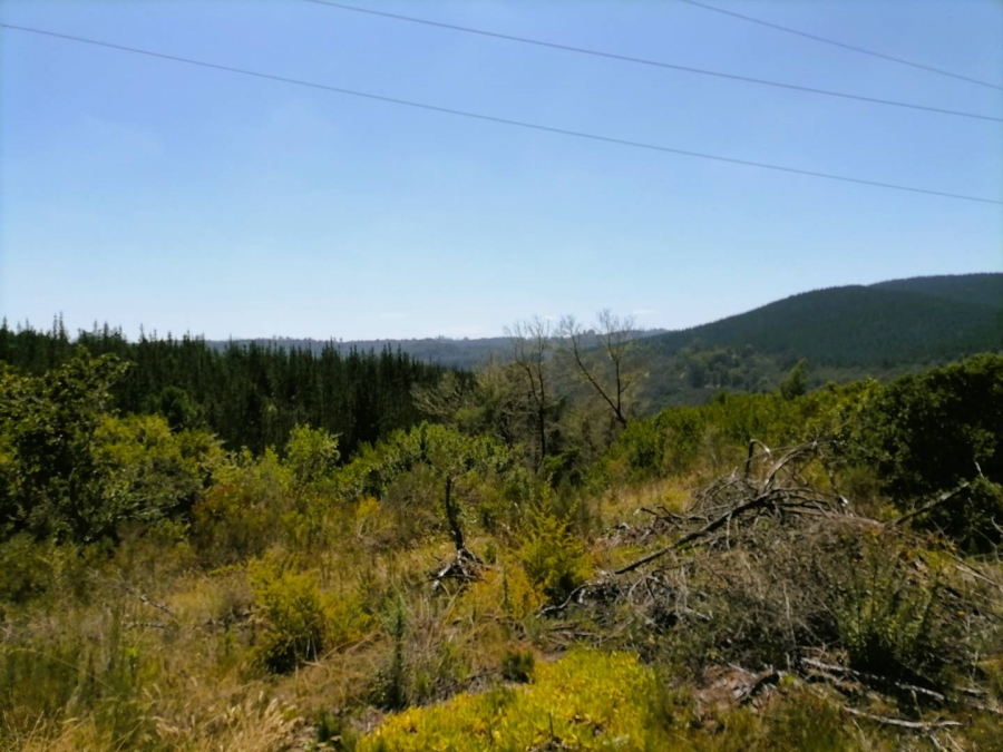 0 Bedroom Property for Sale in Sedgefield Central Western Cape